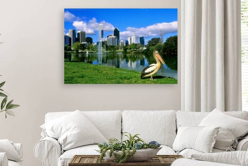 A pelican poses before the Perth Australia city skyline. by Marco Brivio