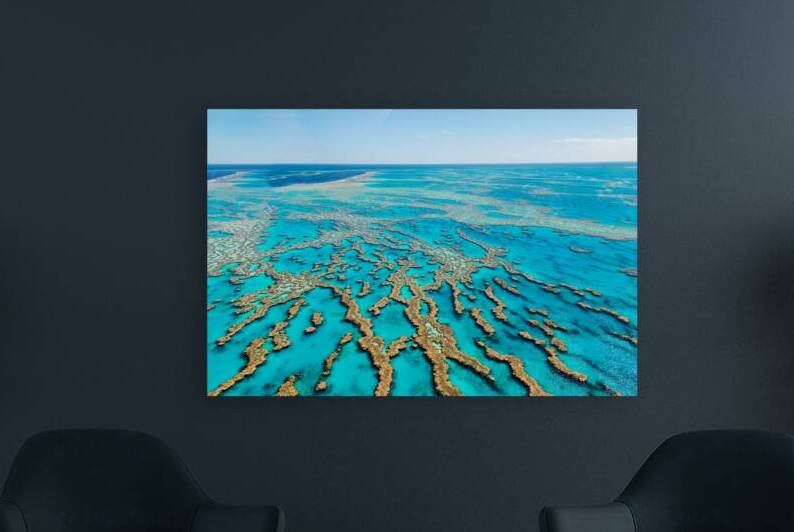 Vibrant coral formations of Great Barrier Reef in Australia by Marco Brivio