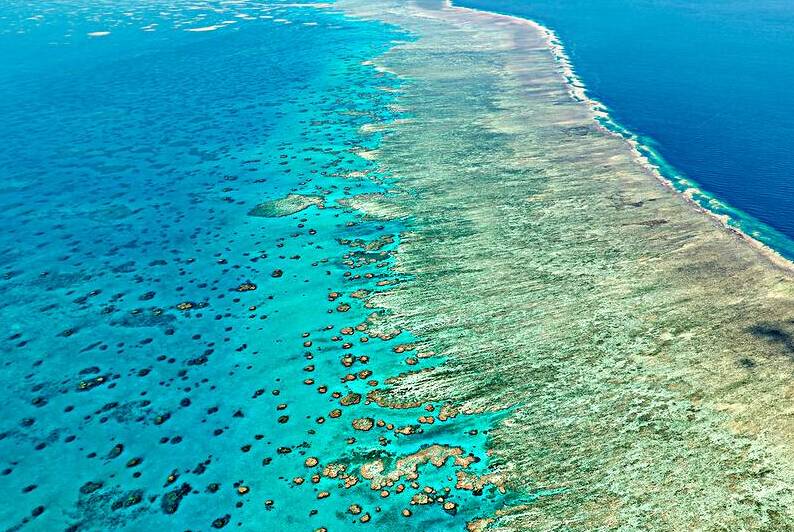 Aerial view of a vibrant coral reef system in clear blue ocean. by Marco Brivio