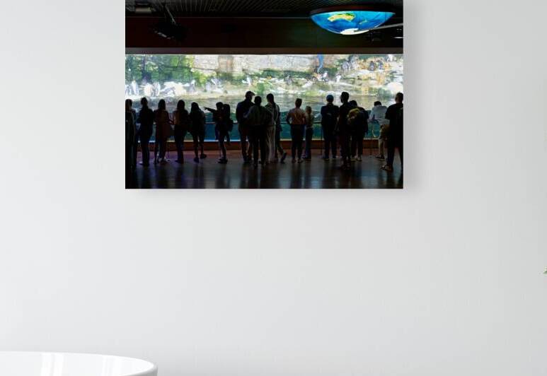 Visitors watch penguins at the Oceanografic in Valencia Spain by Marco Brivio
