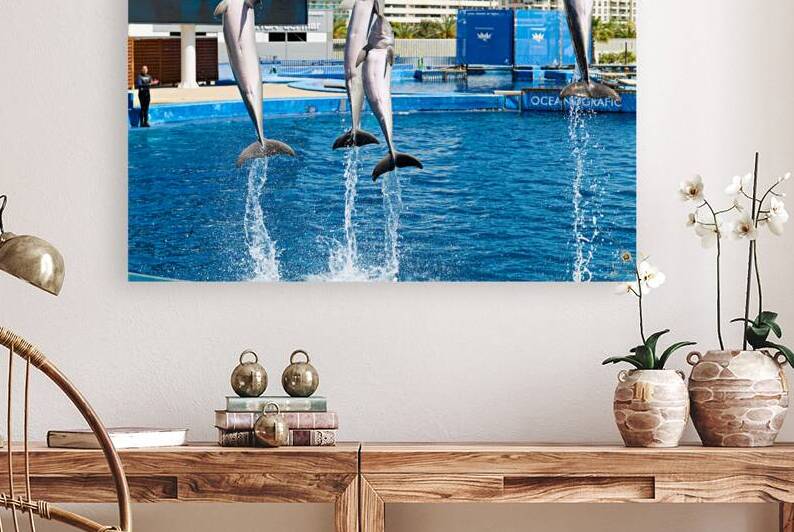 Dolphins performing jumps at Oceanografic in Valencia Spain by Marco Brivio