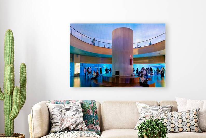 Visit to Oceanografic in Valencia Spain with Antarctic exhibits by Marco Brivio