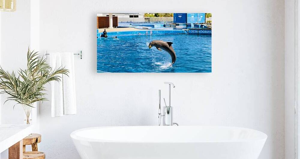 Dolphins perform tricks at Oceanografic in Valencia Spain by Marco Brivio