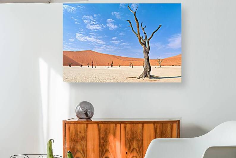 Dried camel thorn trees in Deadvlei clay pan of Namibia by Marco Brivio