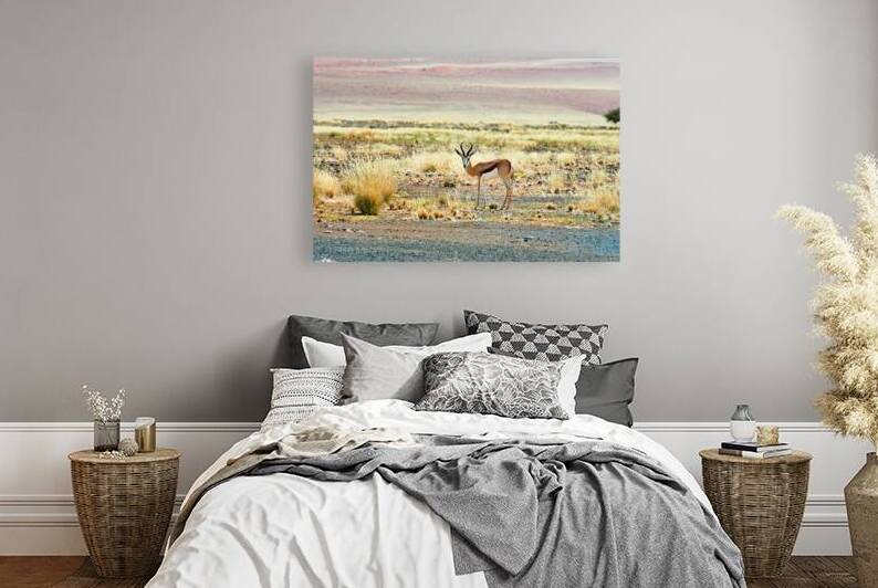 Springbok antelope in Sossusvlei at Namib Naukluft National Park by Marco Brivio