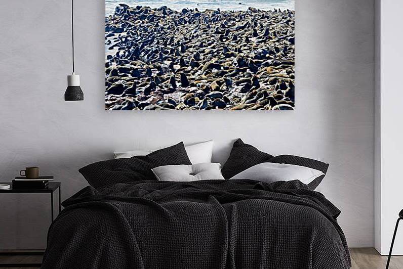 Cape fur seal colony on Skeleton Coast at Cape Cross in Namibia by Marco Brivio