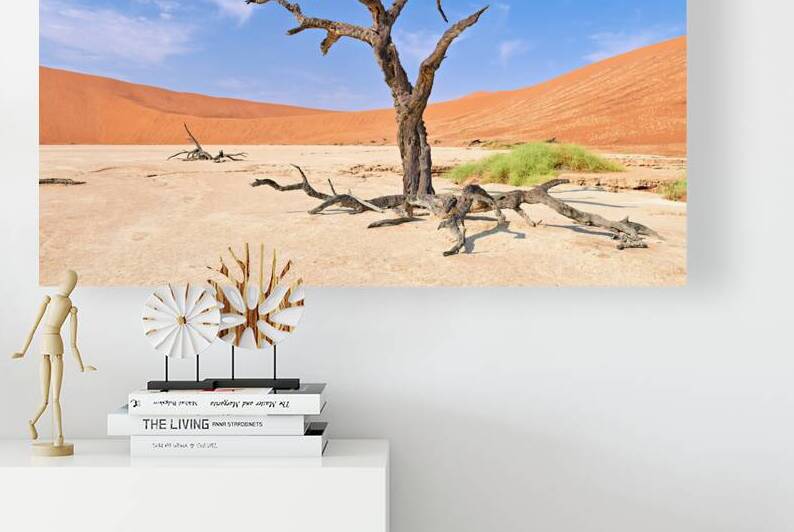 Deadvlei clay pan shows a dried camel thorn tree in Namibia by Marco Brivio