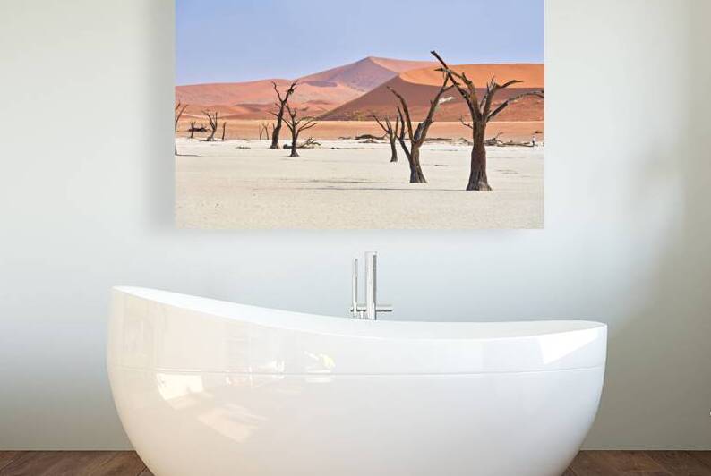Dried camel thorn trees in Deadvlei Namibia under clear sky by Marco Brivio
