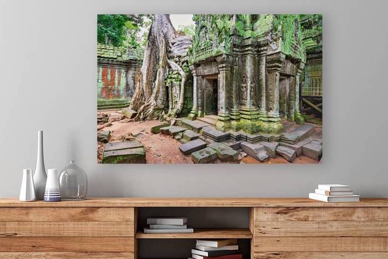 Ancient temple ruins overgrown by massive tree roots and moss. by Marco Brivio