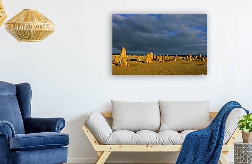 The Pinnacles desert landscape with dramatic clouds and birds. by Marco Brivio