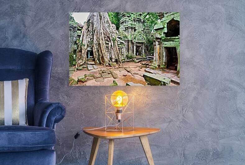 Ancient temple ruins consumed by giant tree roots. by Marco Brivio