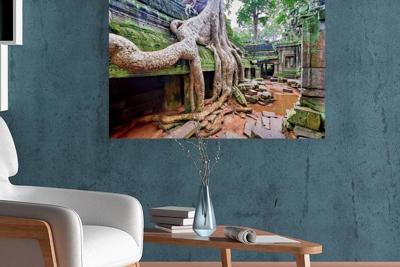 Massive tree roots engulfing ancient moss covered temple ruins. by Marco Brivio