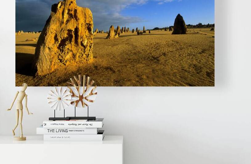 Golden limestone pinnacles in the Australian desert at sunset. by Marco Brivio