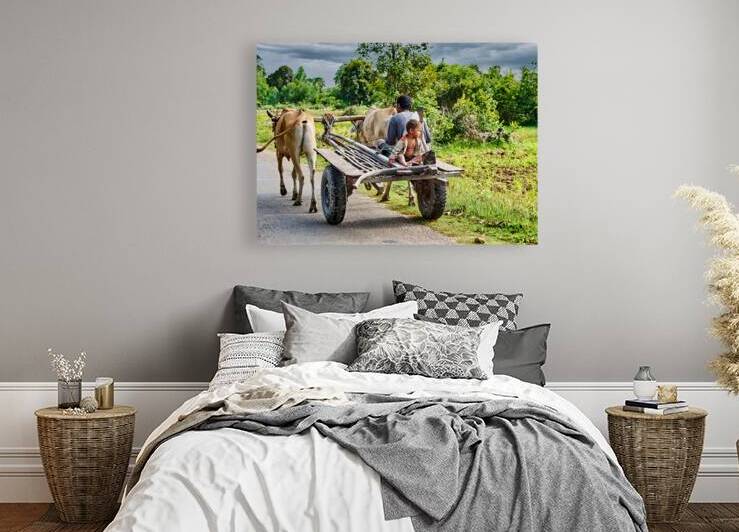 Man and child ride bullock cart on rural road. by Marco Brivio