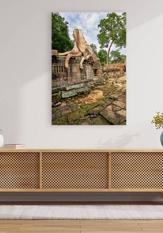 Tree roots engulf ancient temple ruins. by Marco Brivio