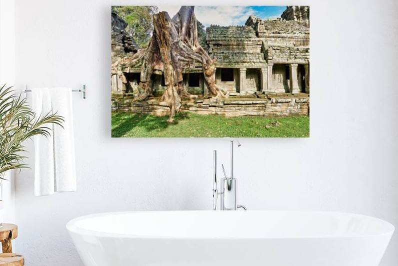 Tree roots engulf ancient temple ruins. by Marco Brivio