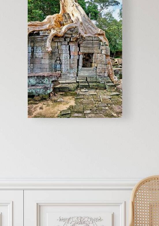 Tree roots engulf ancient temple ruins. by Marco Brivio