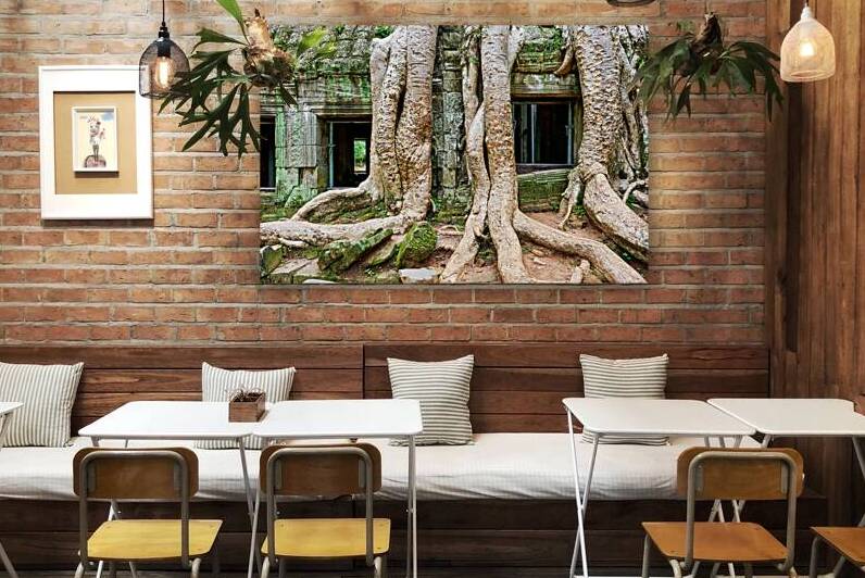 Giant tree roots engulf ancient mossy temple ruins. by Marco Brivio