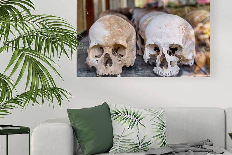 Multiple human skulls displayed a somber historical reminder. by Marco Brivio