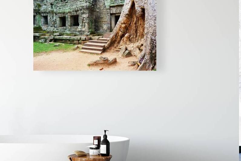 Ancient temple ruins intertwined with giant tree. by Marco Brivio