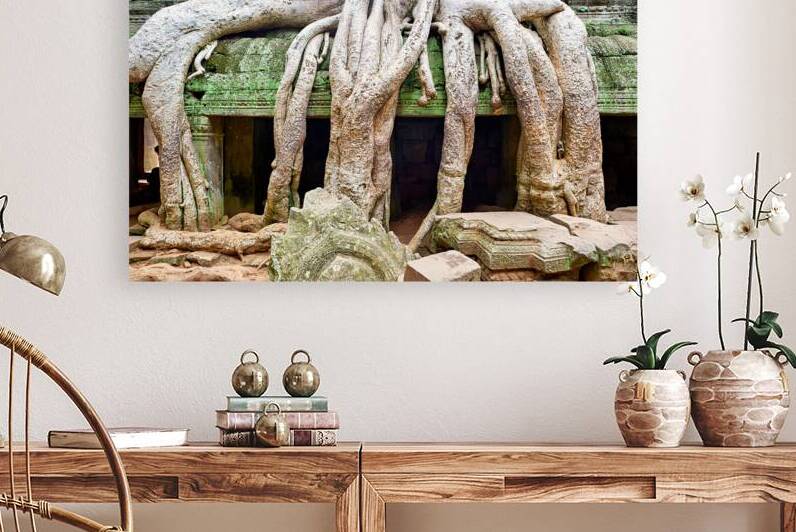 Massive tree roots dominate ancient mossy temple structure. by Marco Brivio