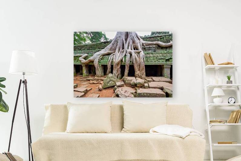 Giant tree roots engulf ancient temple ruins. by Marco Brivio