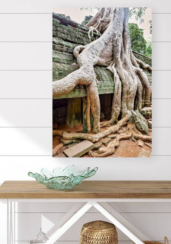 Giant tree roots engulfing ancient temple ruins. by Marco Brivio