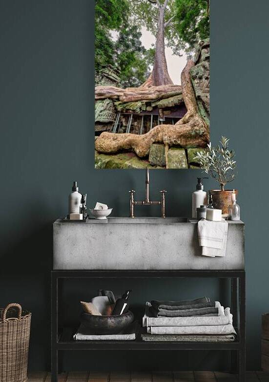 Giant tree roots engulf ancient temple ruins. by Marco Brivio