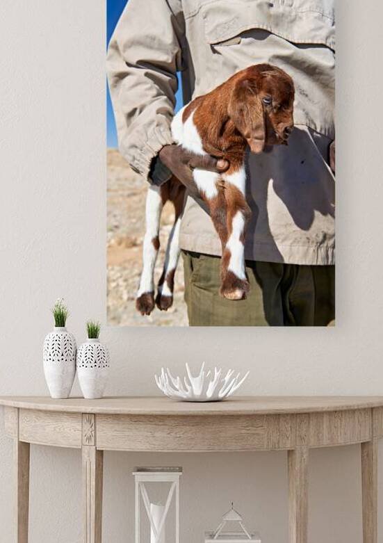 Portrait of a shepherd holding a goat in Namibia by Marco Brivio