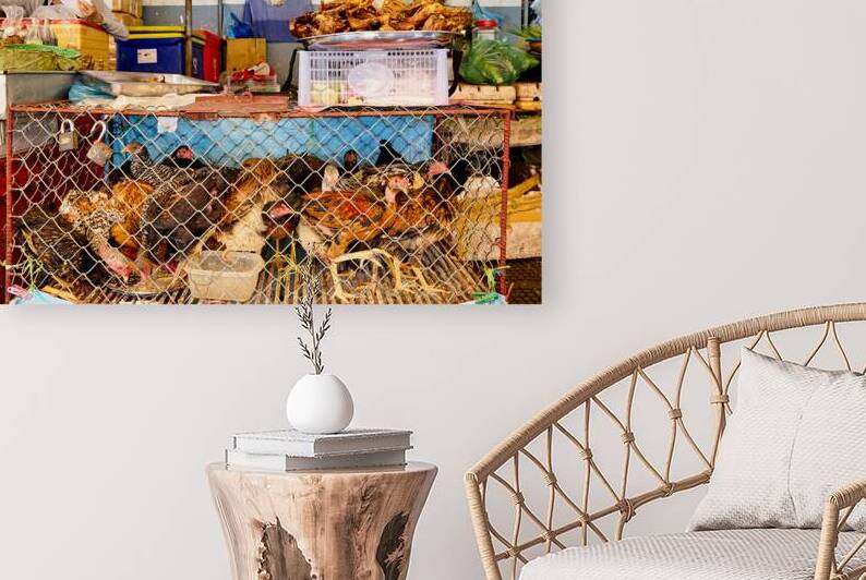 Woman sells live and cooked chickens at a market stall. by Marco Brivio