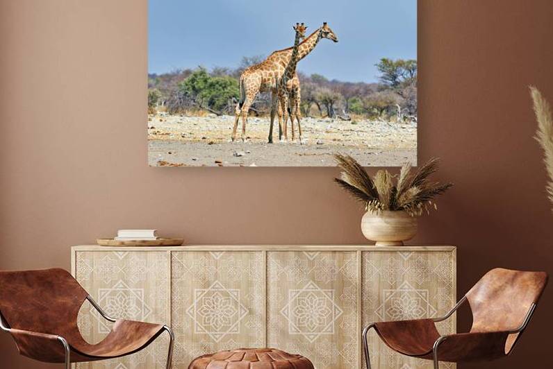 Giraffes walking together in Etosha National Park Namibia by Marco Brivio
