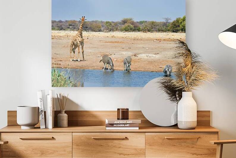 Giraffe and zebras drink water together at a waterhole in Namibi by Marco Brivio