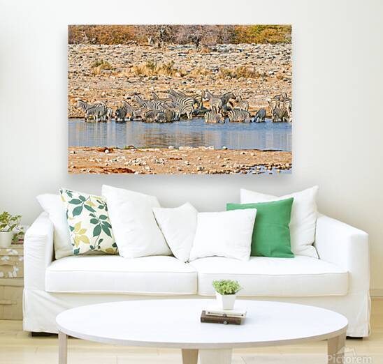 Zebras drink water at a waterhole in Etosha National Park Namibi by Marco Brivio