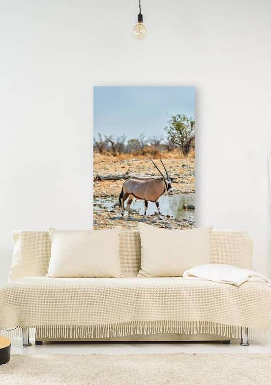 Gemsbok Oryx walking near water in Etosha National Park Namibia by Marco Brivio