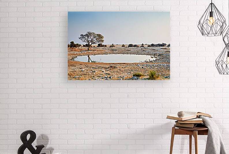 Zebras drink water at a waterhole in Etosha National Park Namibi by Marco Brivio