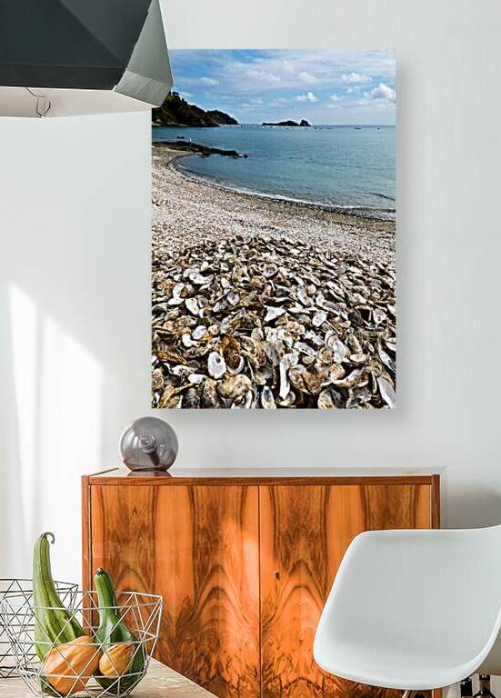 Oyster shells lay on the beach of Cancale Brittany France by Marco Brivio