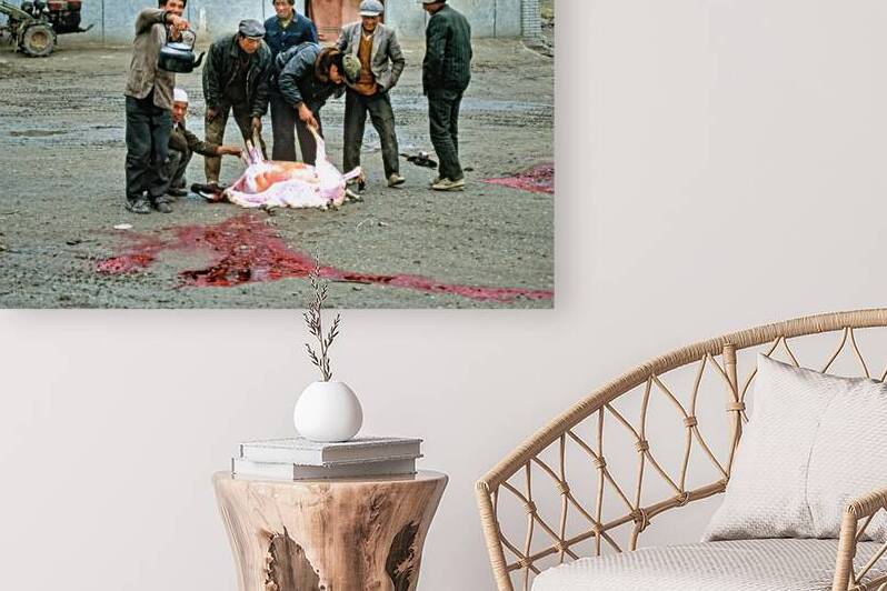 Men butcher sheep in Tibet while performing traditional activity by Marco Brivio