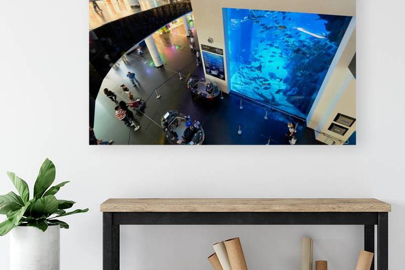 Large aquarium attracts visitors in shopping mall in Dubai UAE by Marco Brivio