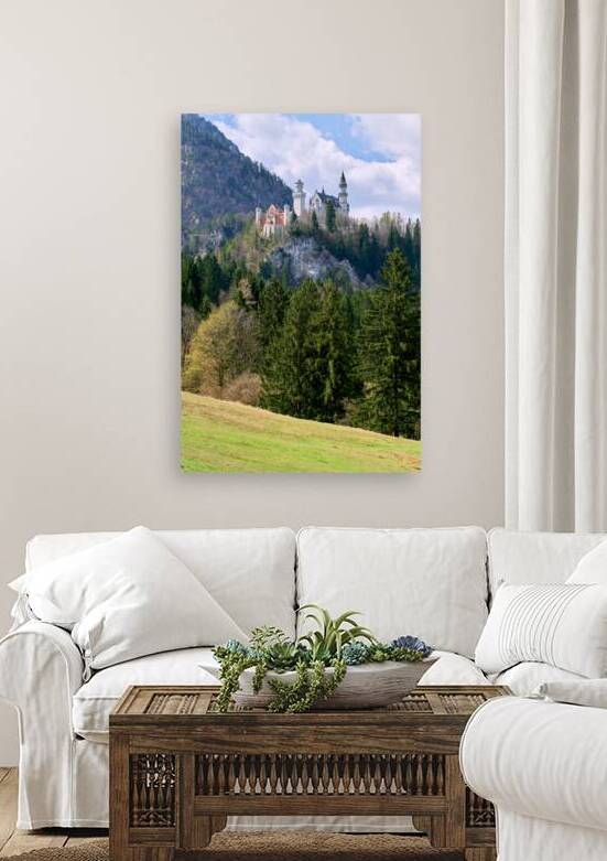 View of Neuschwanstein Castle from the base of the mountain in B by Marco Brivio