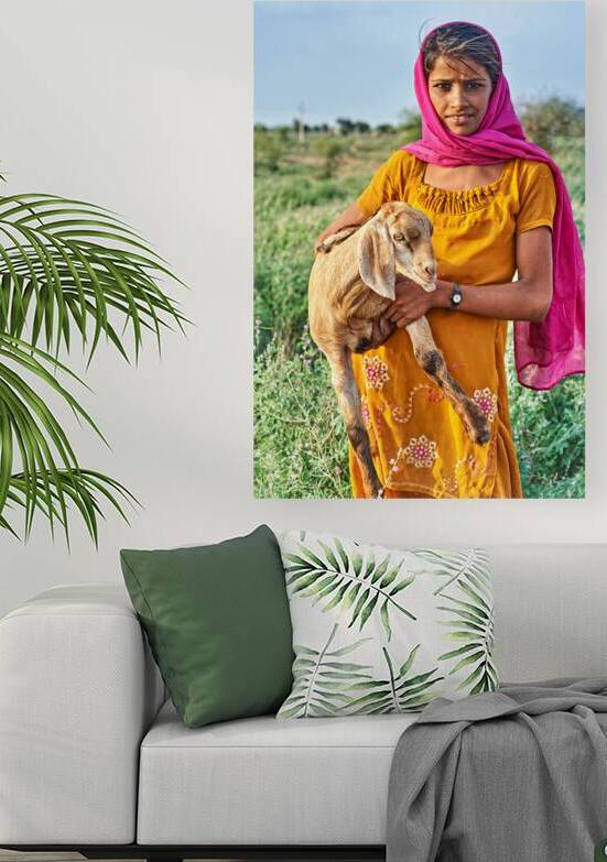 Girl holds goat in Khimsar Rajasthan India during sunny day by Marco Brivio
