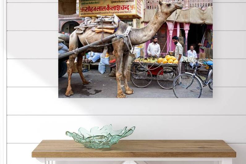 Camel in the streets of Bikaner during busy market hours by Marco Brivio