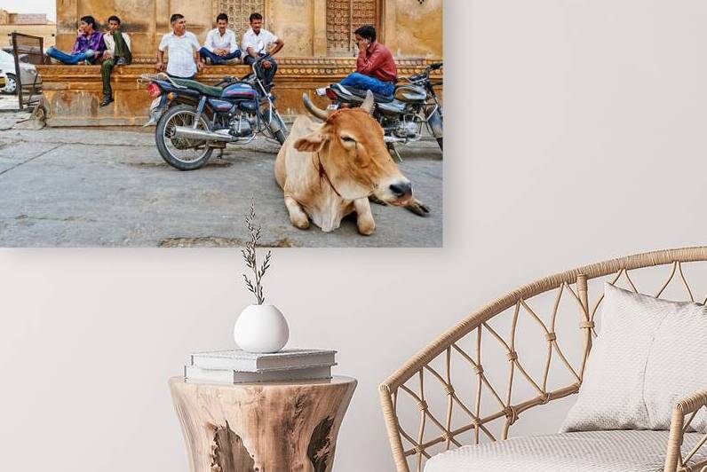 People gather in the streets with a cow in Jaisalmer Rajasthan by Marco Brivio
