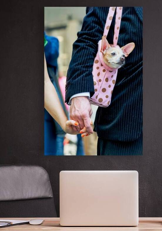 Easter Sunday in Manhattan features a dog in a bag during the pa by Marco Brivio