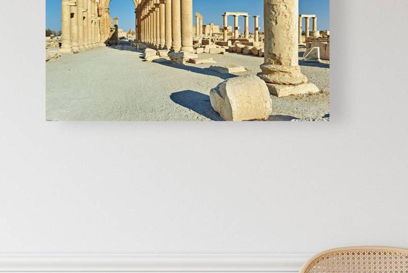 Visit to Palmyra shows the great colonnade and monumental arch by Marco Brivio