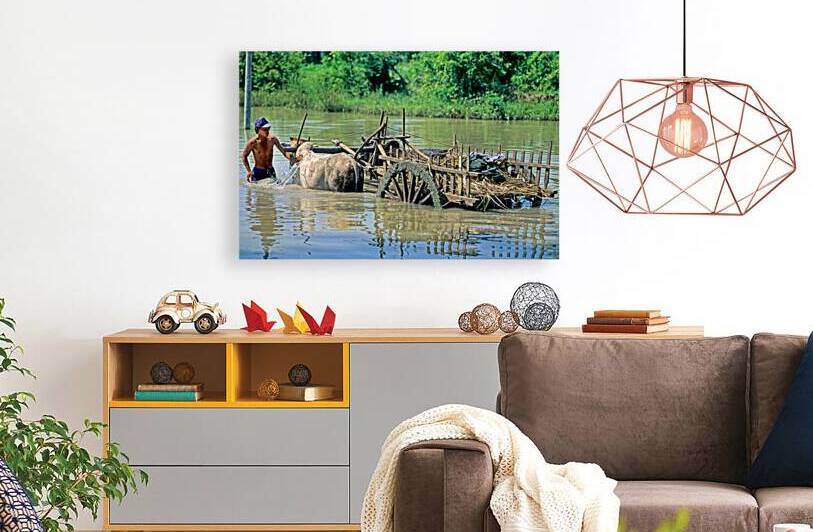 Washing cows in a river in the countryside of Myanmar by Marco Brivio