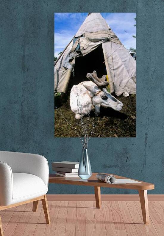 Dukha Tsaatan reindeer herders home in northern Khövsgöl Aima by Marco Brivio