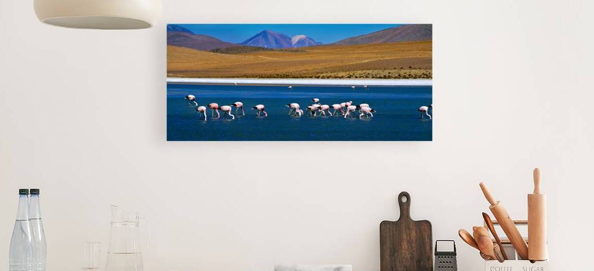 Flamingos feeding in a blue lake with mountains. by Marco Brivio