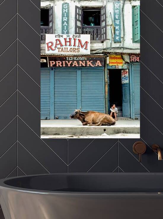 Holy cow resting on the street in Kathmandu Nepal by Marco Brivio