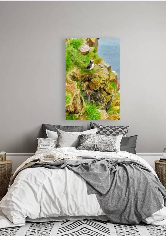 Puffin stands on rocks by the sea in Borgarfjordur Eystri by Marco Brivio