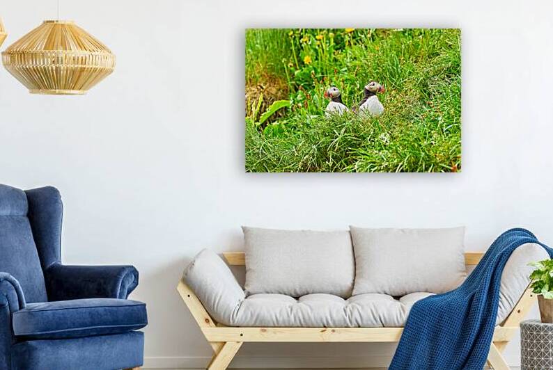 Two puffins resting in Borgarfjordur Eystri Iceland by Marco Brivio